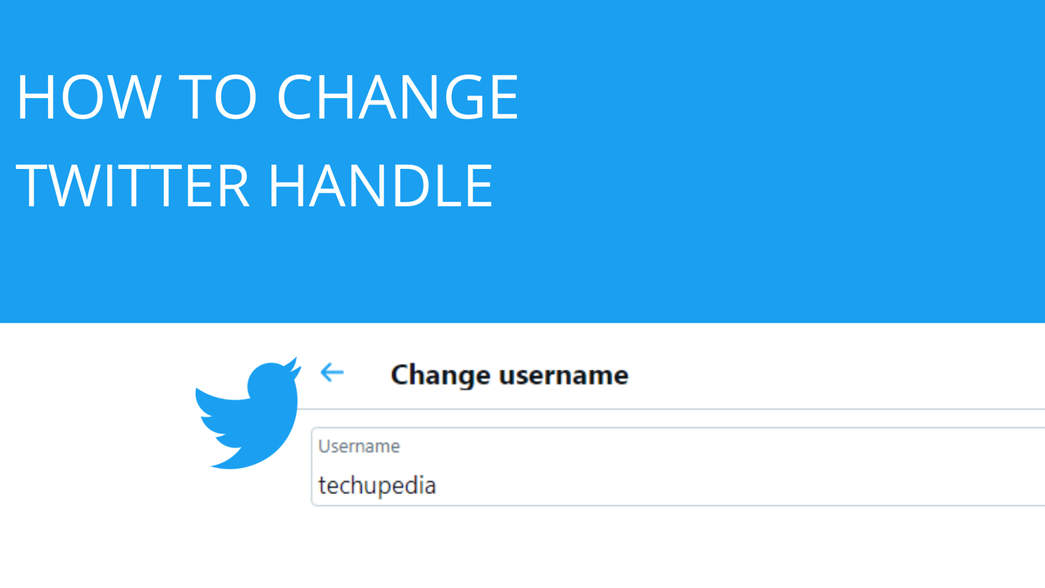 How to Change Twitter Handle and Display Name ( Best 2 Methods )