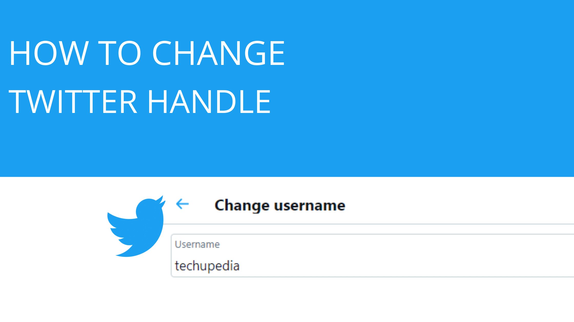How to Change Twitter Handle